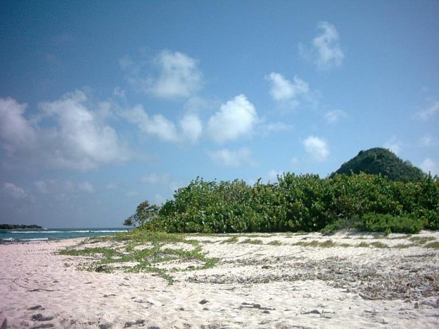 White island beach north.