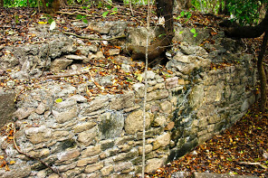 Ruins of an old estate house near Grand Bay.