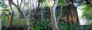 Estate house ruins on Carriacou.