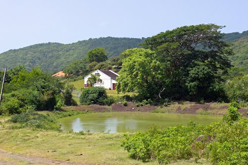 Meldrum Pond on Carriacou.