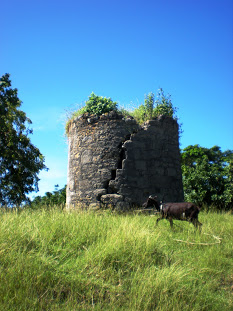 Ruins of an old Windmill - storage room.