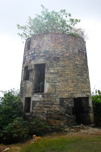 Windmill at Mt. Royal.