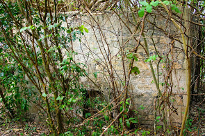 Ruin of an old sugar factory and mill.