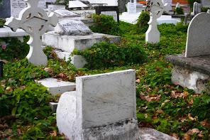 Cemetery in Windward.