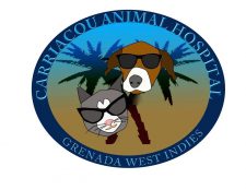 Carriacou animal hospital.