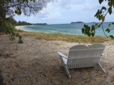 Animal Hospital of Carriacou.