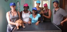 Animal Hospital of Carriacou.