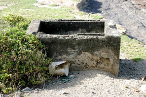 Cotton Gin remains in Grand Bay.