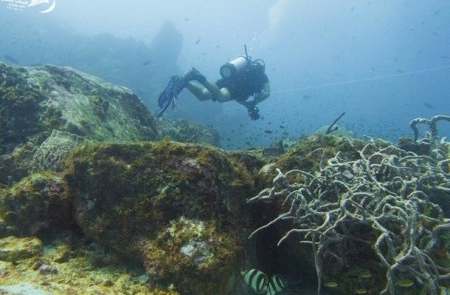 Scuba diving Carriacou.