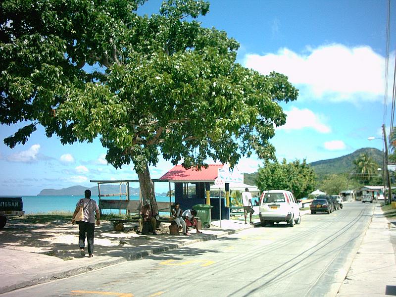 The coastline of HarveyVale on Carriacou.