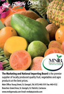 MNIB farmers market and national importing board.