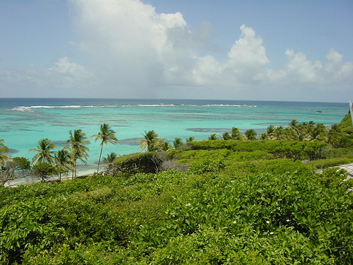 Eastcoast Petite Martinique.