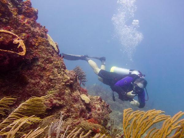 Divesite Point Cistern Carriacou.