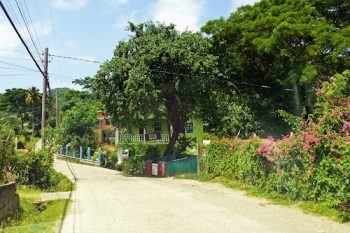 Rural road in Point st. Hilaire.