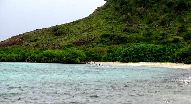 Beach and the bay of Saline Island Carriacou.