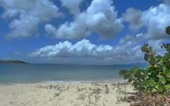 View of Sandy Island Carriacou.