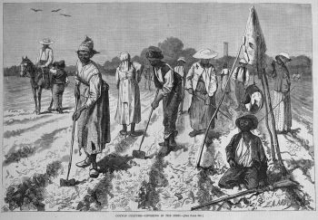 Supervisors watching slaves on a cotton field.