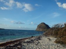 Visiting white island with isle of reef tours.