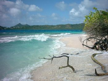 A narrow stretch of beach on White Island North shore.